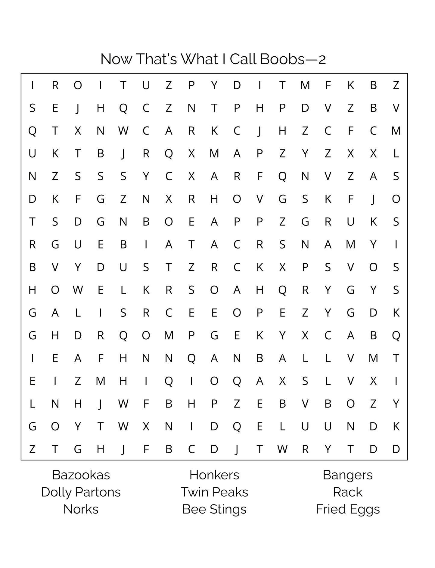 Now That’s What I Call Boobs – Adult Word Search Puzzle Book
